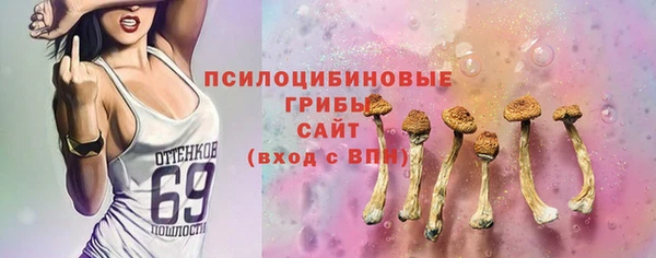 прущий лед Алексин