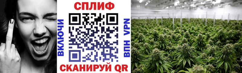 Бошки Шишки конопля  Кочубеевское 